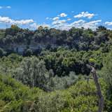 Dirigendosi verso l�entrata possiamo ammirare dall�alto la rigogliosa vegetazione del Pulo...